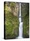 Multnomah Falls, Columbia Gorge National Scenic Area, Oregon, USA-Chuck Haney-Premier Image Canvas