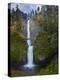 Multnomah Falls, Columbia Gorge, Oregon, USA-Gary Luhm-Premier Image Canvas