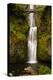 Multnomah Falls, Columbia River Gorge, Oregon, USA-Jaynes Gallery-Premier Image Canvas