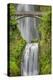 Multnomah Falls, Columbia River Gorge, Oregon-Adam Jones-Premier Image Canvas