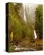 Multnomah Falls Creek Side-Ike Leahy-Stretched Canvas