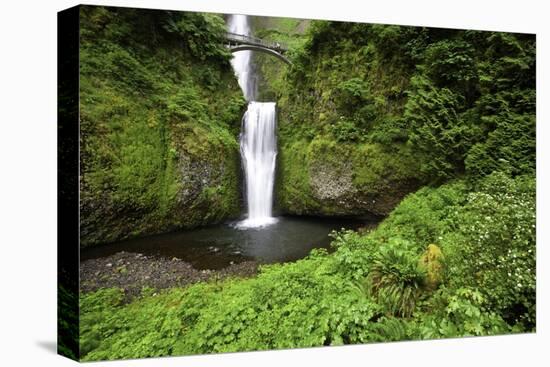 Multnomah Falls, in Columbia River Gorge National Scenic Area, Oregon-Craig Tuttle-Premier Image Canvas