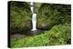 Multnomah Falls, in Columbia River Gorge National Scenic Area, Oregon-Craig Tuttle-Premier Image Canvas