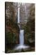 Multnomah Falls in fall color-Belinda Shi-Premier Image Canvas