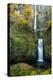 Multnomah Falls in the Columbia Gorge Scenic Area, Oregon, USA-Chuck Haney-Premier Image Canvas