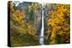 Multnomah Falls in the Columbia River Gorge-Craig Tuttle-Premier Image Canvas