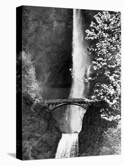 Multnomah Falls on Larch Mt. Where the Water Empties into the Columbia River-Alfred Eisenstaedt-Premier Image Canvas
