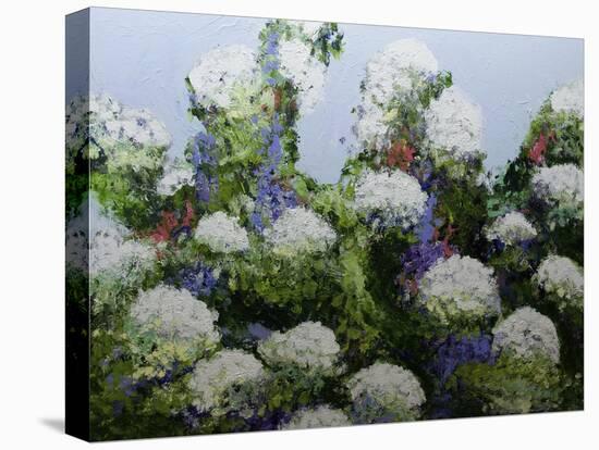 Mum's Garden-Allan Friedlander-Stretched Canvas