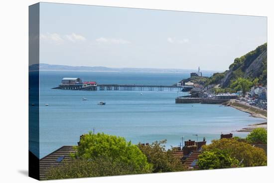 Mumbles Lighthouse, Mumbles Pier, Mumbles, Gower, Swansea, Wales, United Kingdom, Europe-Billy Stock-Premier Image Canvas