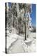 Mummelsee Lake in winter, Black Forest, Baden Wurttemberg, Germany, Europe-Markus Lange-Premier Image Canvas