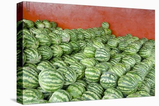 Municipal Market Watermelons for Sale, Manaus, Amazon, Brazil-Cindy Miller Hopkins-Premier Image Canvas