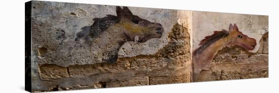 Mural of animal on wall, Acre (Akko), Israel-null-Premier Image Canvas