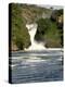 Murchison Falls, Victoria Nile, Uganda, East Africa, Africa-Groenendijk Peter-Premier Image Canvas