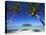 Muri Beach, Rarotonga, Cook Islands, South Pacific-Doug Pearson-Premier Image Canvas