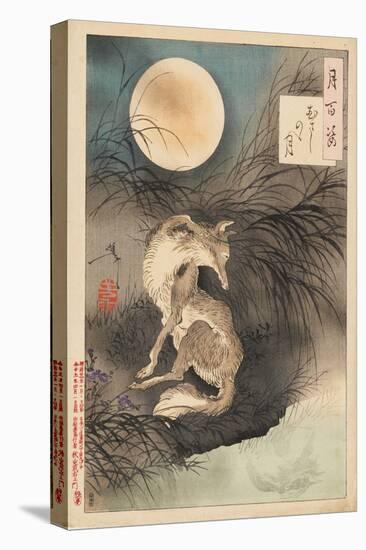 Musashi Plain Moon, 1891-92 (Nishiki-E Woodblock Print, with Bokashi)-Tsukioka Yoshitoshi-Premier Image Canvas