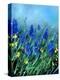 Muscari-Pol Ledent-Stretched Canvas