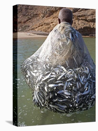 Muscat Region, Bandar Khayran, A Old Fisherman Fishes for Sardines with a Traditional Net, Oman-Mark Hannaford-Premier Image Canvas