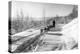 Mushing a Dog Sled in Alaska Photograph - Alaska-Lantern Press-Stretched Canvas