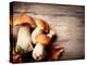 Mushroom Boletus over Wooden Background-Subbotina Anna-Premier Image Canvas