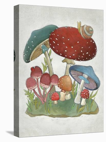 Mushroom Collection I-Chariklia Zarris-Stretched Canvas