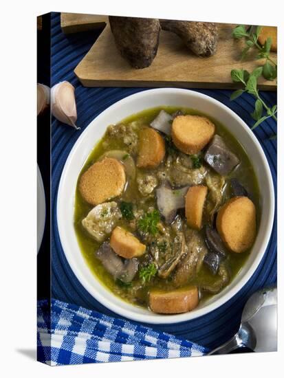 Mushroom Soup (Boletus Edulis), Italy, Europe-Nico Tondini-Premier Image Canvas