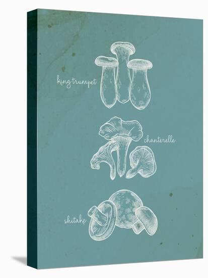 Mushroom Teal 1-Anne Bailey-Stretched Canvas