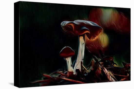 Mushrooms, 2021, (digital)-Scott J. Davis-Premier Image Canvas