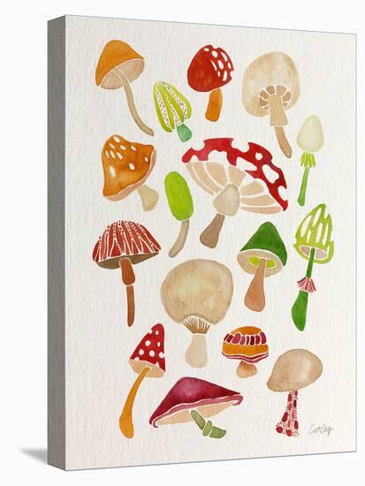 Mushrooms-Cat Coquillette-Premier Image Canvas