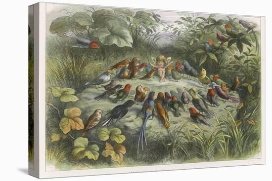 Musical Elf Teaches the Young Birds to Sing-Richard Doyle-Premier Image Canvas