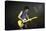 Musician Keith Richards Performing-David Mcgough-Premier Image Canvas