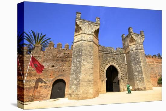 Musician Outside Bab Zaer, the Main Gate, Chellah, Rabat, Morocco, North Africa-Neil Farrin-Premier Image Canvas