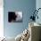 Musician Stephen Stills-Billray-Premier Image Canvas displayed on a wall