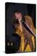 Musician Steven Tyler Performing-Dave Allocca-Premier Image Canvas