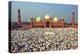 Muslim Gathering for Eid Prayers at Badshahi Masjid, Lahore, Pakistan-Yasir Nisar-Premier Image Canvas