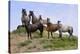 Mustangs of the Badlands-1435-Gordon Semmens-Stretched Canvas