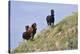 Mustangs of the Badlands-1469-Gordon Semmens-Stretched Canvas