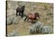 Mustangs of the Badlands-1474-Gordon Semmens-Stretched Canvas