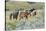 Mustangs of the Badlands-1621-Gordon Semmens-Stretched Canvas