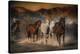 Mustangs on the Move-Bobbie Goodrich-Stretched Canvas