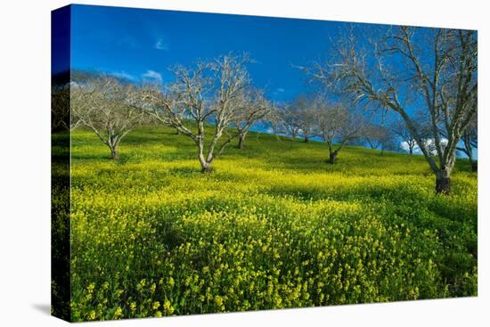 Mustard Factory I-Mark Geistweite-Premier Image Canvas