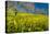 Mustard Factory II-Mark Geistweite-Premier Image Canvas