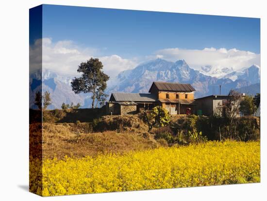 Mustard Fields with the Annapurna Range of the Himalayas in the Background, Gandaki, Nepal, Asia-Mark Chivers-Premier Image Canvas