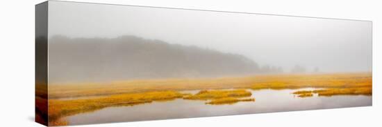 Mustard Yellow Salt Marsh-Brooke T. Ryan-Premier Image Canvas