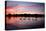 Mute Swans, Cygnus Olor, Swim on Pen Ponds at Sunset in Richmond Park-Alex Saberi-Premier Image Canvas