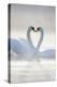 Mute Swans Pair in Courtship Behaviour-null-Premier Image Canvas