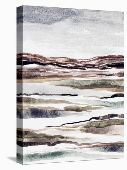 Muted Earth Layers II-Nikki Galapon-Stretched Canvas