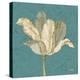 Muted Teal Behind Tulip-Diane Stimson-Stretched Canvas