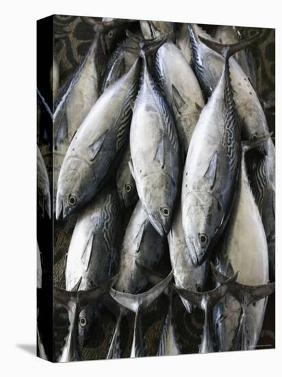 Mutrah Fish Market, Mutrah, Muscat, Oman-Walter Bibikow-Premier Image Canvas