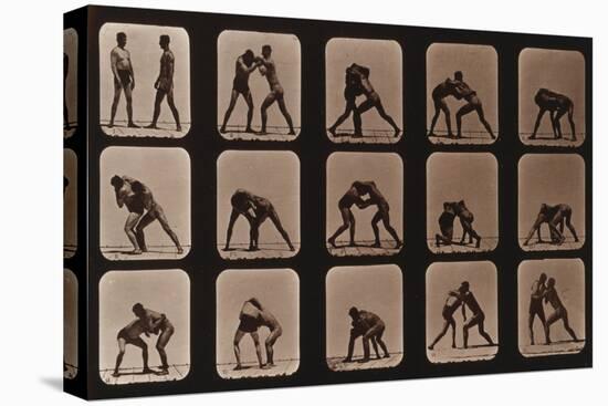 Muybridge Locomotion, Men Wrestling, 1881-Science Source-Premier Image Canvas