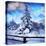 My Beautiful Fir Tree-Philippe Sainte-Laudy-Stretched Canvas